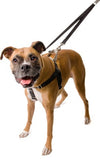 Freedom No-Pull Harness Training Package - Chicago English Bulldog Rescue - eBully Boutique
 - 1