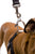 Freedom No-Pull Harness Training Package - Chicago English Bulldog Rescue - eBully Boutique
 - 2