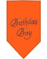 Birthday Boy Orange