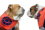 General Donation - Chicago English Bulldog Rescue - eBully Boutique
