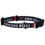 Chicago Bulls Collar - Chicago English Bulldog Rescue - eBully Boutique
