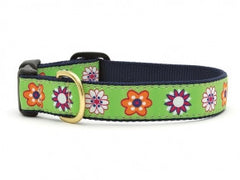 Up Country Bloom Dog Collar - Chicago English Bulldog Rescue - eBully Boutique
