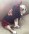 Devil Monkey Sweater - Chicago English Bulldog Rescue - eBully Boutique
 - 2