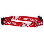 Indiana University Collar - Chicago English Bulldog Rescue - eBully Boutique
