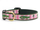 Up Country Alligator Dog Collar - Chicago English Bulldog Rescue - eBully Boutique
