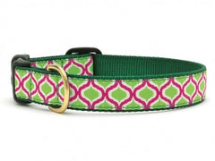 Up Country Green Kismet Dog Collar - Chicago English Bulldog Rescue - eBully Boutique
