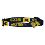 Univ of Michigan Collar - Chicago English Bulldog Rescue - eBully Boutique
