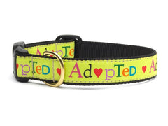 Up Country Adopted Dog Collar - Chicago English Bulldog Rescue - eBully Boutique
